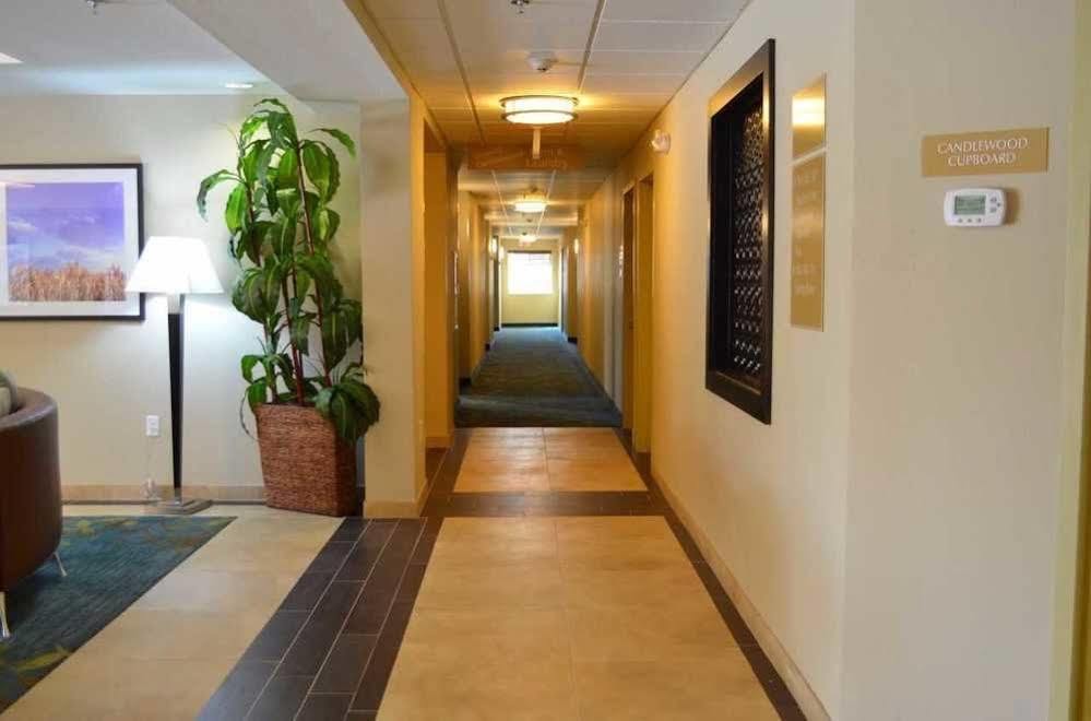 Candlewood Suites San Antonio Airport By Ihg Eksteriør billede
